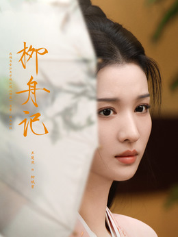 柳舟记剧情介绍_天天影视