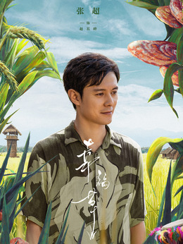 幸福草剧情介绍_天天影视