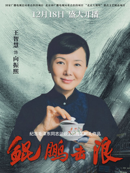 鲲鹏击浪剧情介绍_天天影视