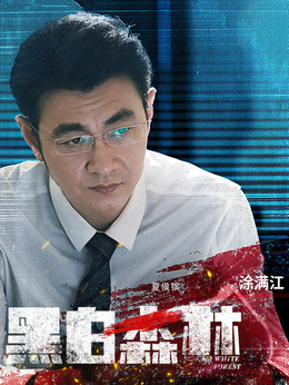 黑白森林剧情介绍_天天影视