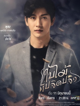 吹落的树叶剧情介绍_天天影视