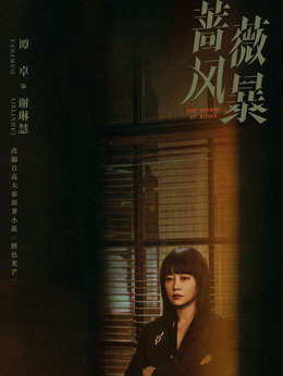 蔷薇风暴剧情介绍_天天影视