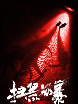 扫黑风暴剧情介绍_天天影视