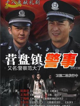 营盘镇警事剧情介绍_天天影视