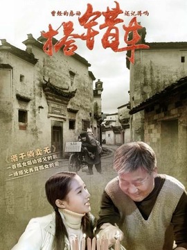 搭错车剧情介绍_天天影视