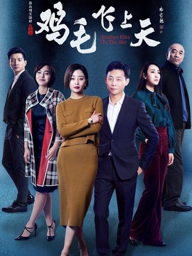 鸡毛飞上天剧情介绍_天天影视