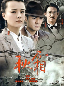 秋霜剧情介绍_天天影视