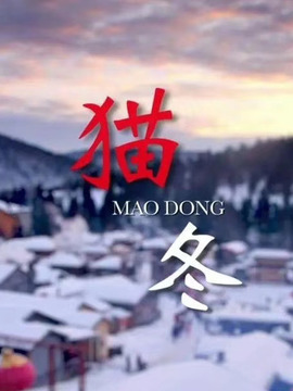 猫冬剧情介绍_天天影视