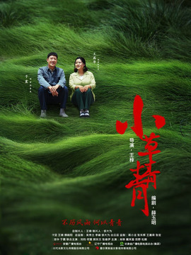 小草青青剧情介绍_天天影视