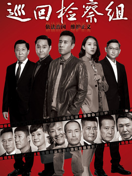 巡回检察组剧情介绍_天天影视