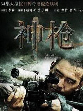 神枪剧情介绍_天天影视