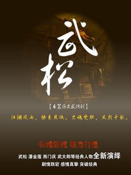 武松剧情介绍_天天影视