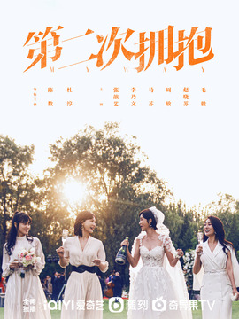 第二次拥抱剧情介绍_天天影视