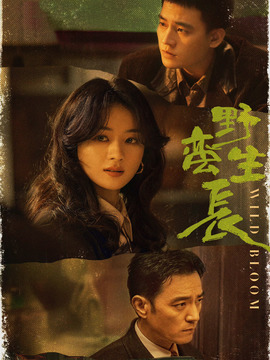 风吹半夏剧情介绍_天天影视