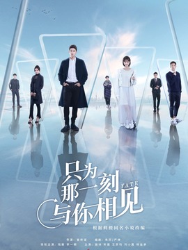 只为那一刻与你相见剧情介绍_天天影视