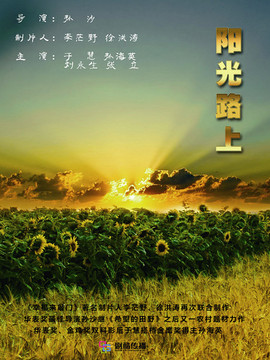 阳光路上剧情介绍_天天影视