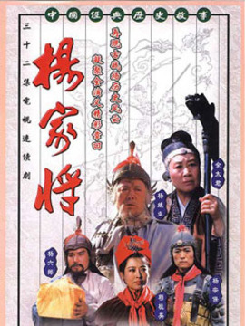 杨家将剧情介绍_天天影视