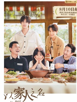 以家人之名剧情介绍_天天影视