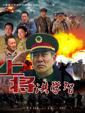 上将洪学智剧情介绍_天天影视