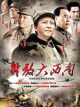 解放大西南剧情介绍_天天影视