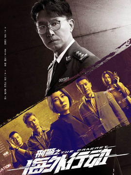 刑警之海外行动剧情介绍_天天影视