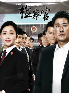 人民检察官剧情介绍_天天影视