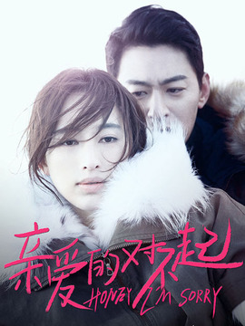 亲爱的对不起剧情介绍_天天影视