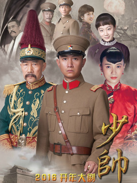 少帅剧情介绍_天天影视