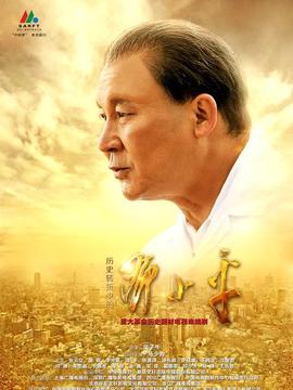 历史转折中的邓小平剧情介绍_天天影视