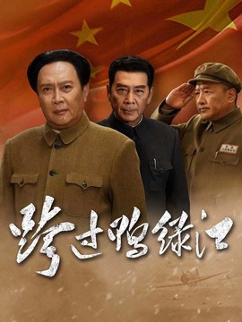 跨过鸭绿江剧情介绍_天天影视