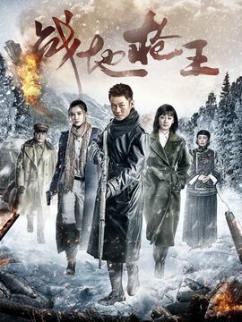 战地枪王剧情介绍_天天影视