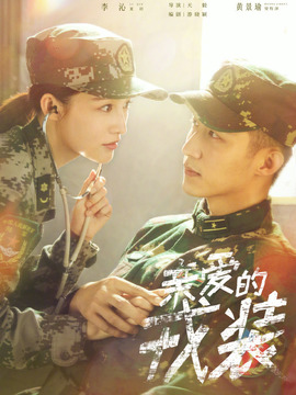 爱上特种兵剧情介绍_天天影视