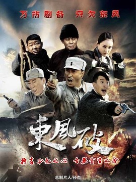 东风破剧情介绍_天天影视