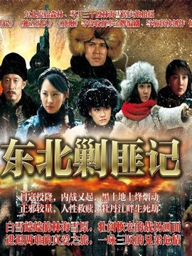 东北剿匪记剧情介绍_天天影视