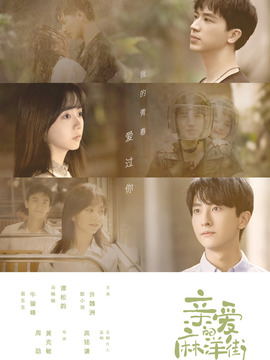 亲爱的麻洋街剧情介绍_天天影视