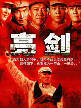 亮剑剧情介绍_天天影视