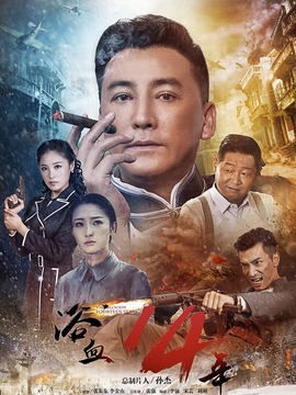 浴血十四年剧情介绍_天天影视