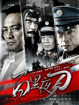 百里夜刀剧情介绍_天天影视