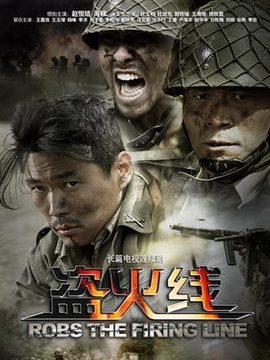 盗火线剧情介绍_天天影视