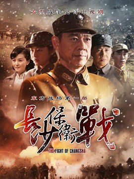 长沙保卫战剧情介绍_天天影视