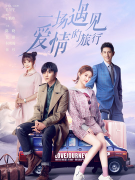 一场遇见爱情的旅行剧情介绍_天天影视