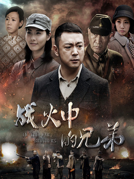 战火中的兄弟剧情介绍_天天影视