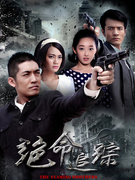 绝命追踪剧情介绍_天天影视