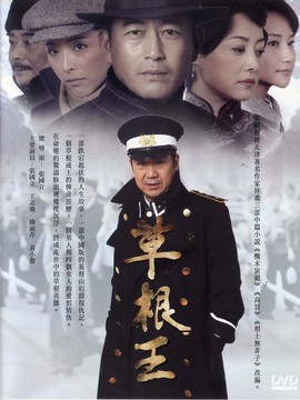 草根王剧情介绍_天天影视