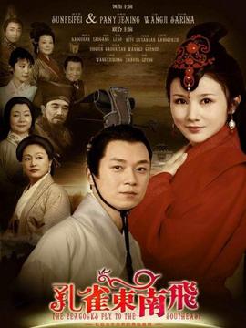 孔雀东南飞剧情介绍_天天影视