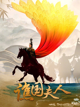 谯国夫人剧情介绍_天天影视