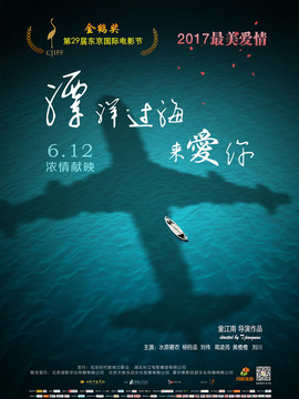 漂洋过海来爱你剧情介绍_天天影视