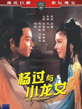 杨过与小龙女剧情介绍_天天影视
