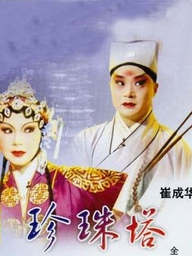 珍珠塔剧情介绍_天天影视