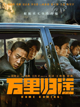 万里归途剧情介绍_天天影视